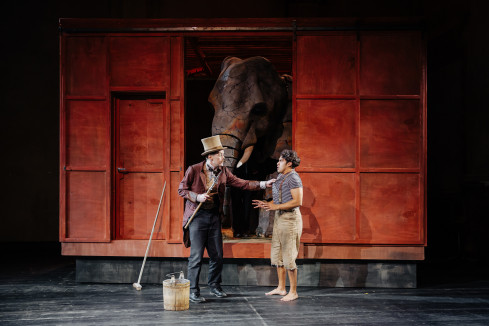 Szenenfoto Wie versteckt man einen Elefanten?, Marcus Kiepe, Leonard Dick