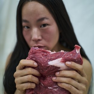 DIE VEGETARIERIN